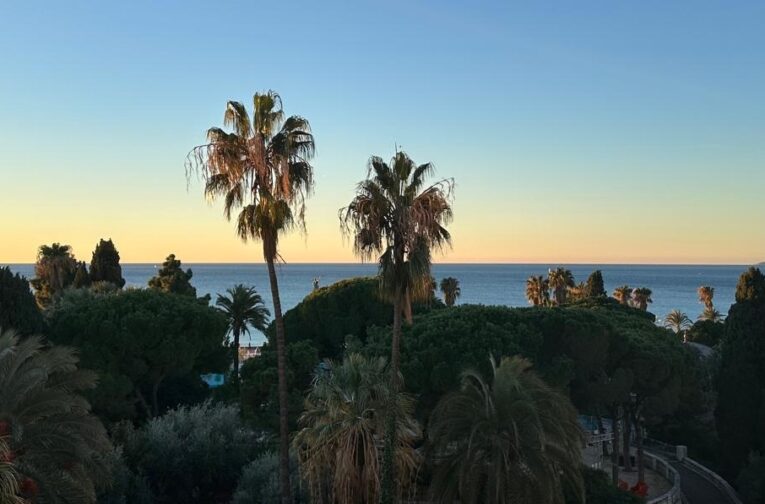 vue mer nice immobilier palmier