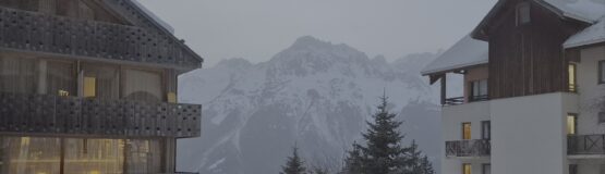 vue montagne oz en oisans