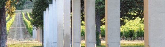 terrasse villa vue vigne