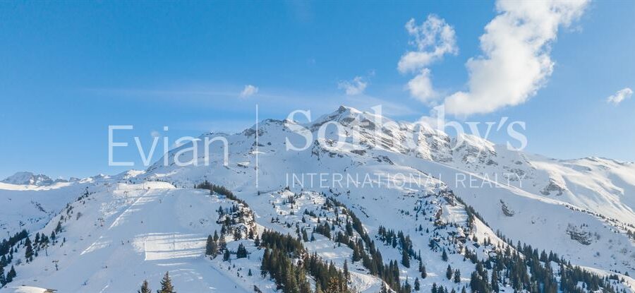 Appartement à vendre à Avoriaz — Vue montagne — photo 6