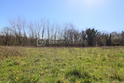 Terrain à vendre à Sauvagnon