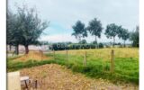 Terrain à vendre à Miniac sous becherel