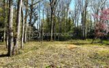 Terrain à vendre à Ferrieres en gatinais