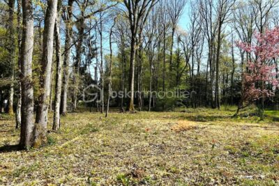 Terrain à vendre à Ferrieres en gatinais