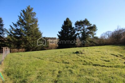 Terrain à vendre à Langeais