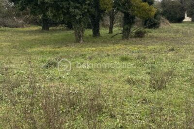 Terrain à vendre à La grande paroisse