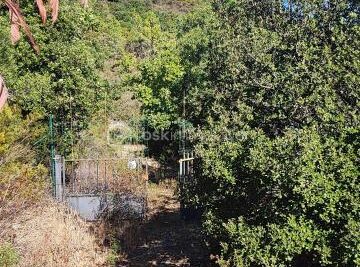 Terrain à vendre à Roquebrune sur argens