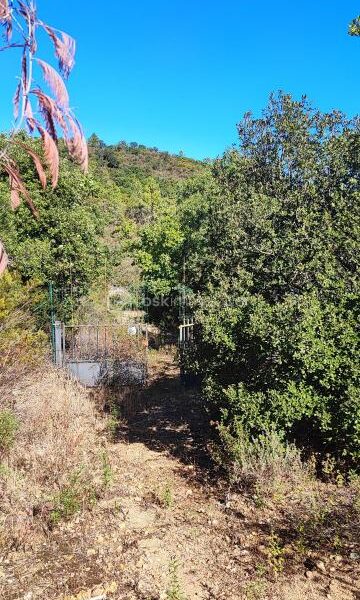 Terrain à vendre à Roquebrune sur argens