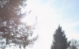 Terrain à vendre à Foncquevillers