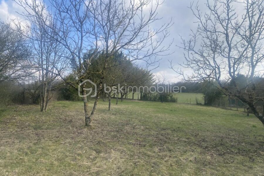 Terrain à vendre à Truyes