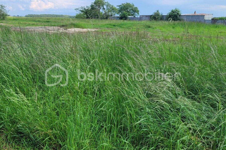 Terrain à vendre à Juranville