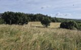 Terrain à vendre à Bardigues