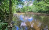 Terrain à vendre à Curzay sur vonne