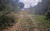 Terrain à vendre à La capelle et masmolene