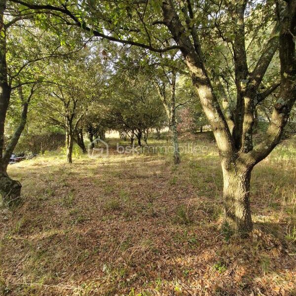 Terrain à vendre à La capelle et masmolene — Vue nature — photo 2