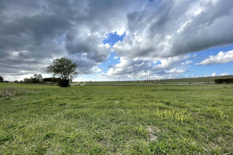 Terrain à vendre à Giffaumont champaubert