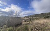 Terrain à vendre à Clermont l herault