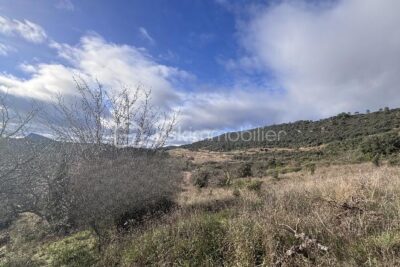 Terrain à vendre à Clermont l herault