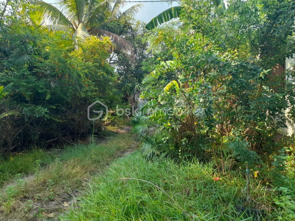 Maison créole authentique avec terrain 678 m2 – NR pièces – NR chambres – 678 m²