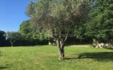 Terrain à vendre à Lunel viel
