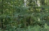 Terrain à vendre à Coulounieix chamiers
