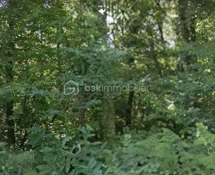 Terrain à vendre à Coulounieix chamiers