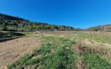 Terrain à vendre à Embres et castelmaure