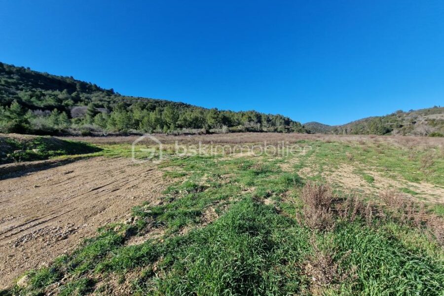 Terrain à vendre à Embres et castelmaure