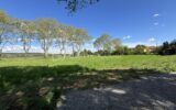 Terrain à vendre à Ribaute les tavernes