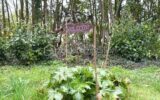 Terrain à vendre à La ferte sous jouarre