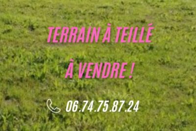 Terrain à vendre à Teille