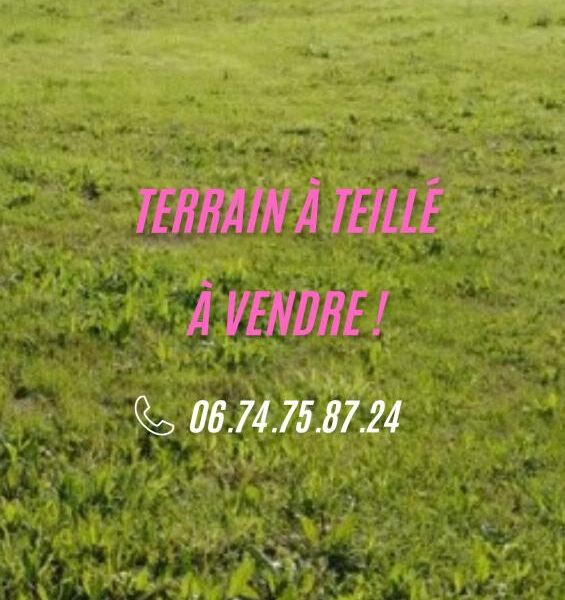 Terrain à vendre à Teille