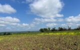 Terrain à vendre à Haraucourt — photo 2