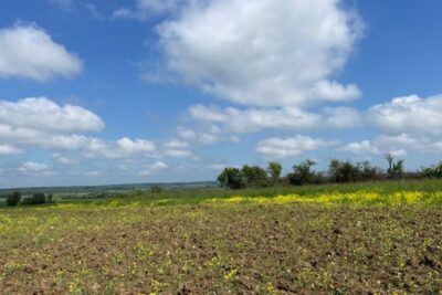 Terrain à vendre à Haraucourt
