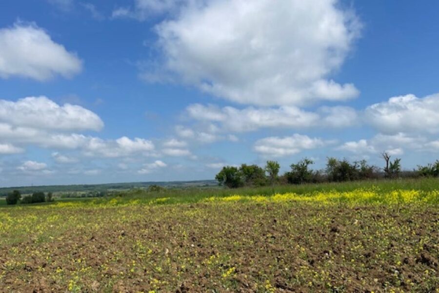 Terrain à vendre à Haraucourt — photo 2