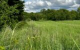 Terrain à vendre à Moncel sur seille