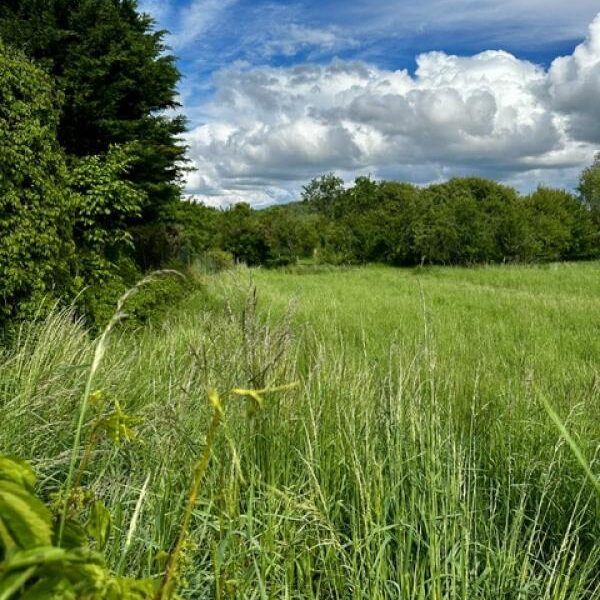 Terrain à vendre à Moncel sur seille