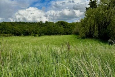 Terrain à vendre à Moncel sur seille