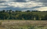 Terrain à vendre à Moncel sur seille