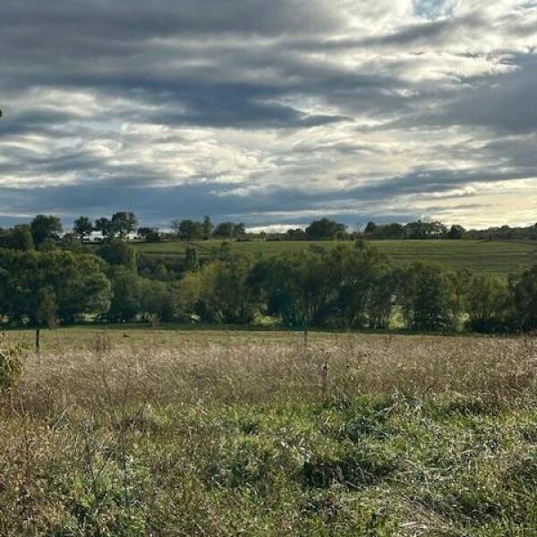 Terrain à vendre à Moncel sur seille