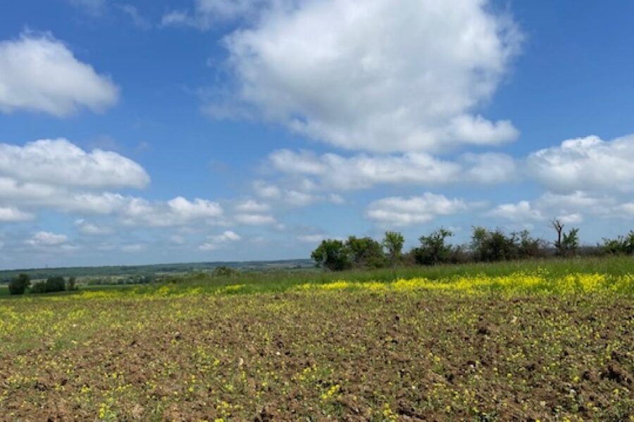 Terrain à vendre à Haraucourt