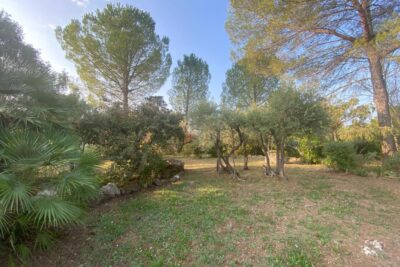 Terrain à vendre à Carces