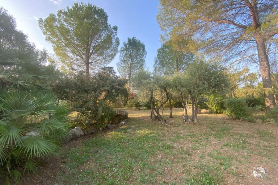 Terrain à vendre à Carces