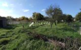Terrain à vendre à Einville au jard