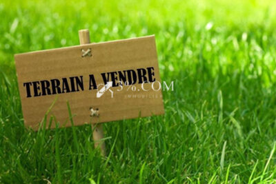 Terrain à vendre à Saint maxent