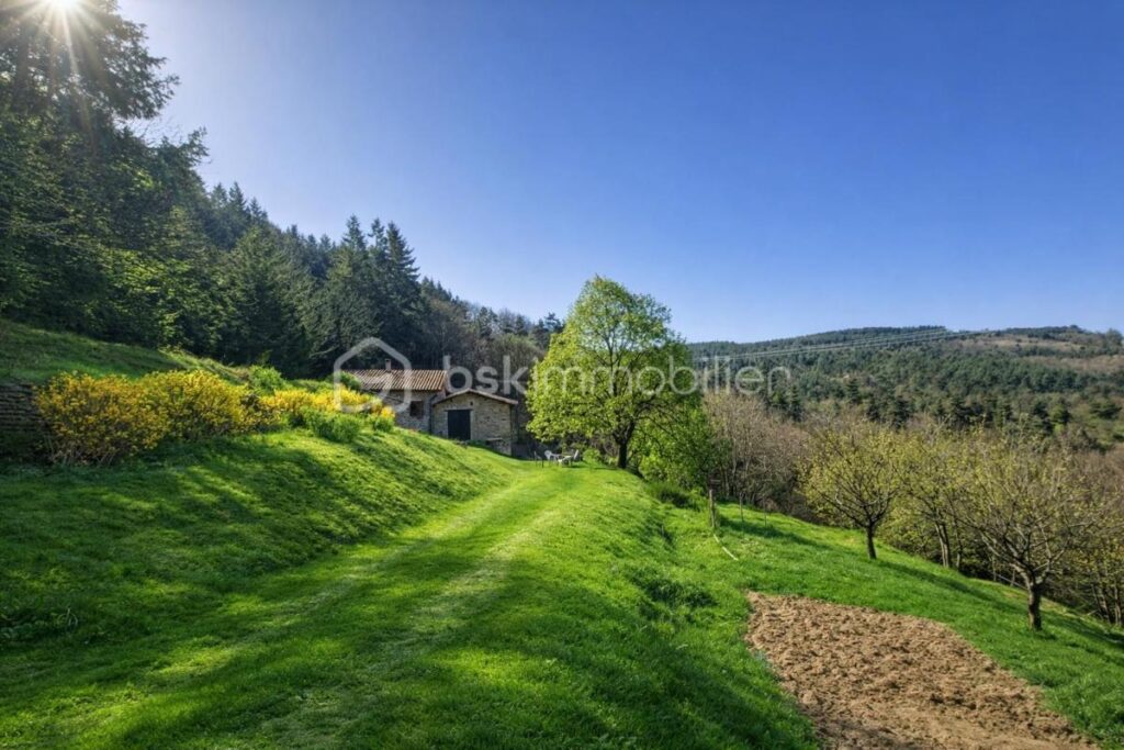 Ferme ardéchoise en pierres avec vue panoramique et châtaigneraie centenaire – 6 pièces – 4 chambres – 171 m²