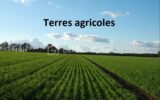 Terrain à vendre à Sort en chalosse