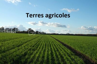 Terrain à vendre à Sort en chalosse