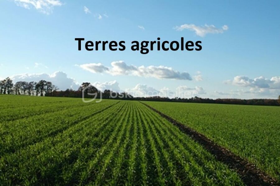 Terrain à vendre à Sort en chalosse