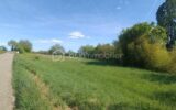 Terrain à vendre à La romieu